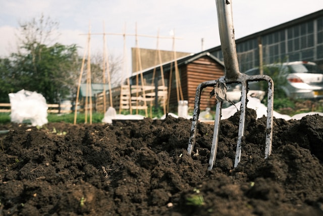 Mulch the garden 1
