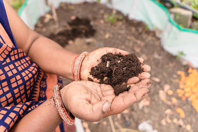 dry soil
