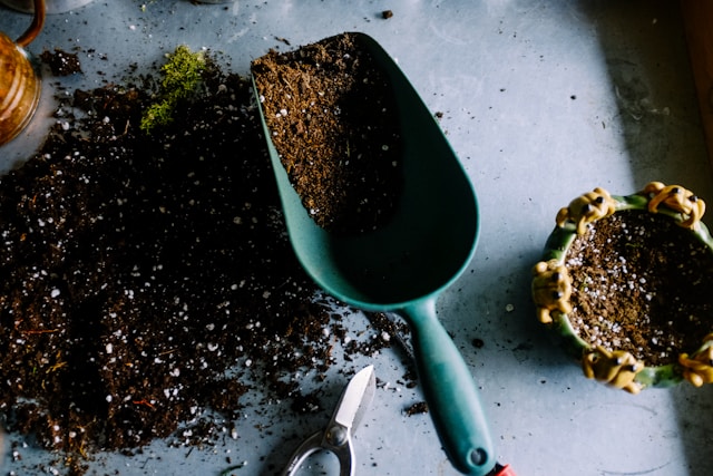 testing soil