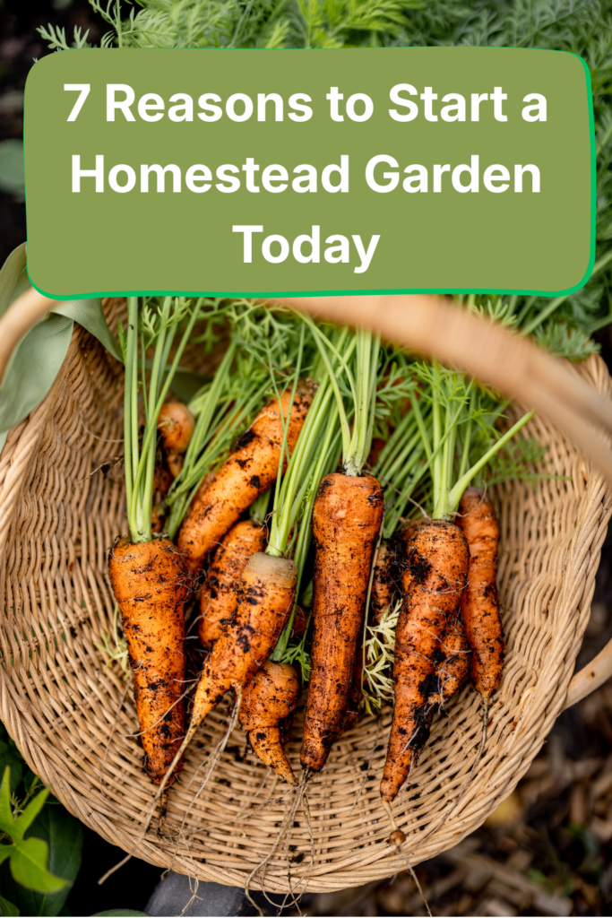 7 Reasons to Start a Homestead Garden, Even If You’re a Beginner
